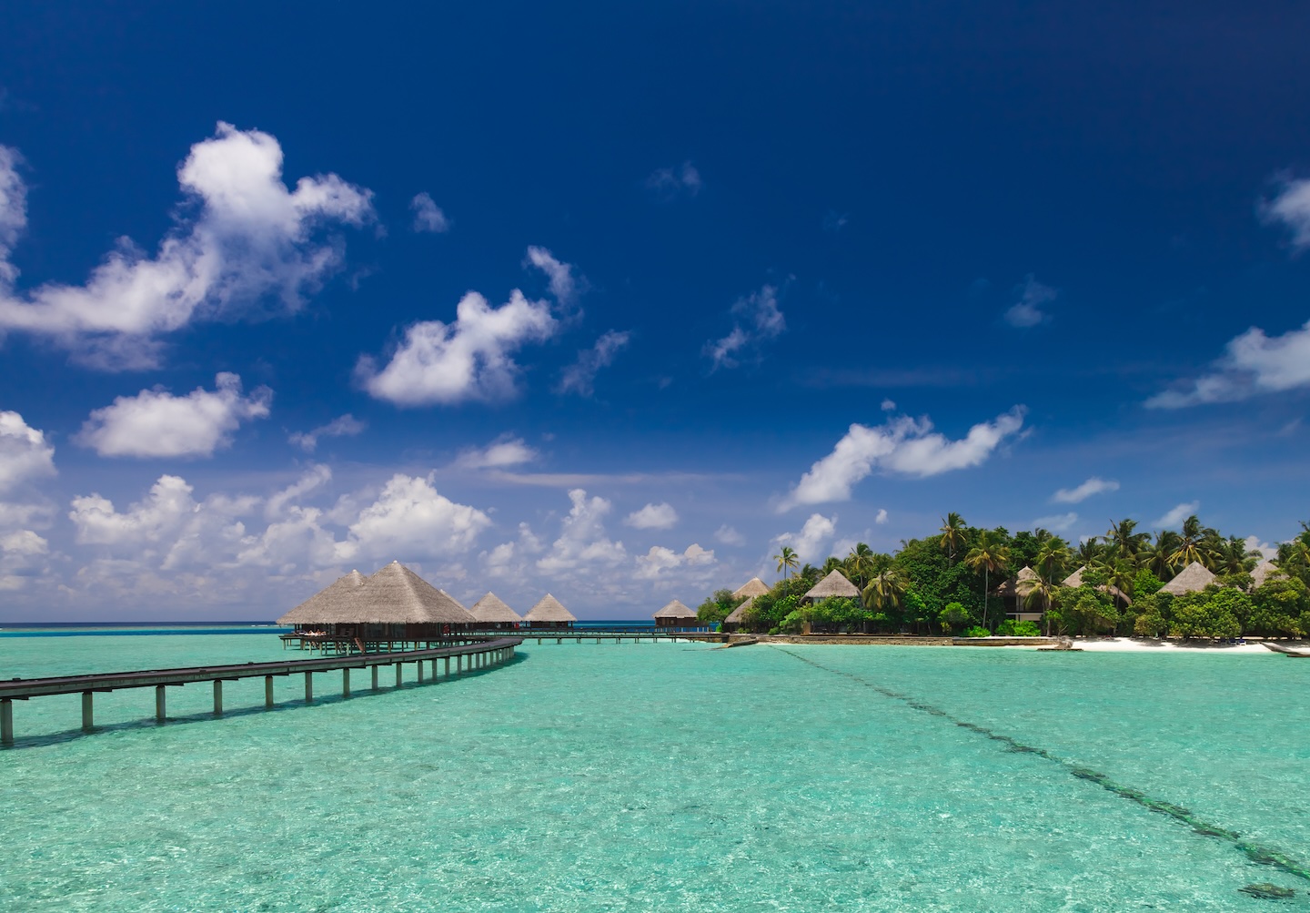 Maldives wedding